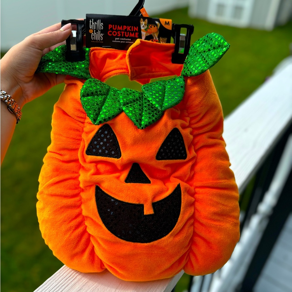 Pumpkin Dog Halloween costume 🎃
